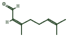 Skeletal diagram of Neral