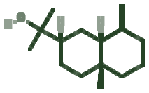 Skeletal diagram of Polygodial
