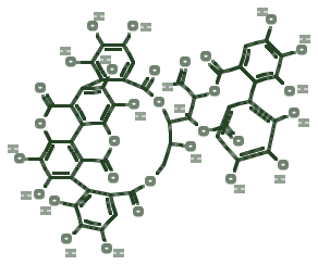 Skeletal diagram of Punicalagin