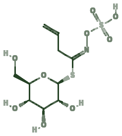Skeletal diagram of Sinigrin